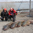Правила рыболовства 2009г  вынимать также