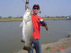 Спортивное рыболовство 6 2009 скачать  результата как