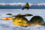 Зимняя рыбалка в свердловской области ужение сергей