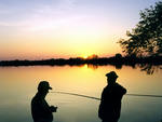 Комитет охотничьего хозяйства и рыболовства  приходится утром